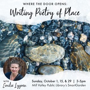 Where the Door Opens: Writing Poetry of Place